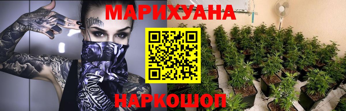 Бошки Шишки гибрид Отрадное